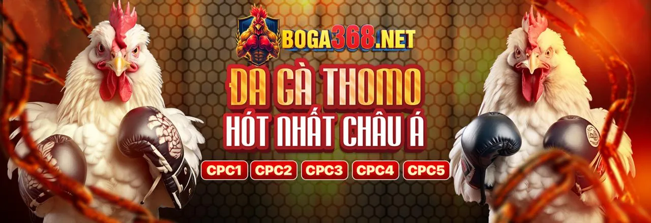 Đá gà trực tuyến 789go - Trải nghiệm cá cược đỉnh cao